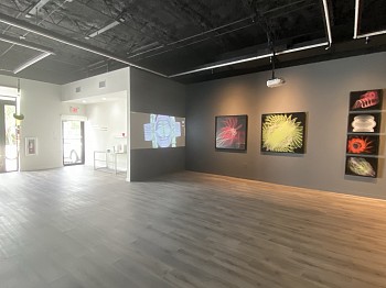 FELICE GRODIN- ALEX TRIMINO - HyperLeak  - Past &Atilde;&cent;&acirc;&nbsp;&acirc; Present &Atilde;&cent;&acirc;&nbsp;&Acirc; Future&nbsp;