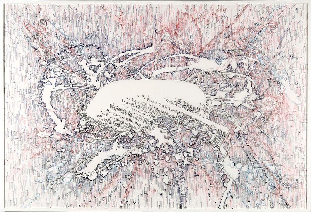 FELICE GRODIN, meta_morphosis, 2012
ink on mylar, 41 x 62 in. (104.1 x 157.5 cm)
FG-C-0052
