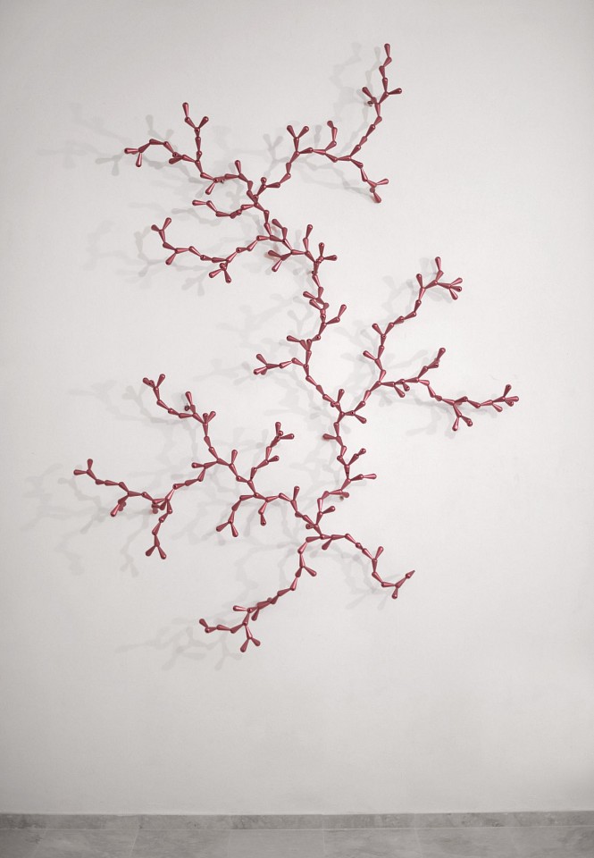 LORIS CECCHINI, The Developed Seed (Red 305), 2017
anodized aluminium, 57 x 77 7/8 in. (145 x 198 cm)
LC-C-0047