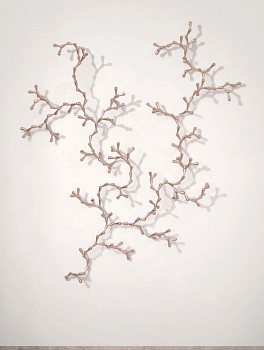 LORIS CECCHINI - The Developed Seed (Pink 263), 2017