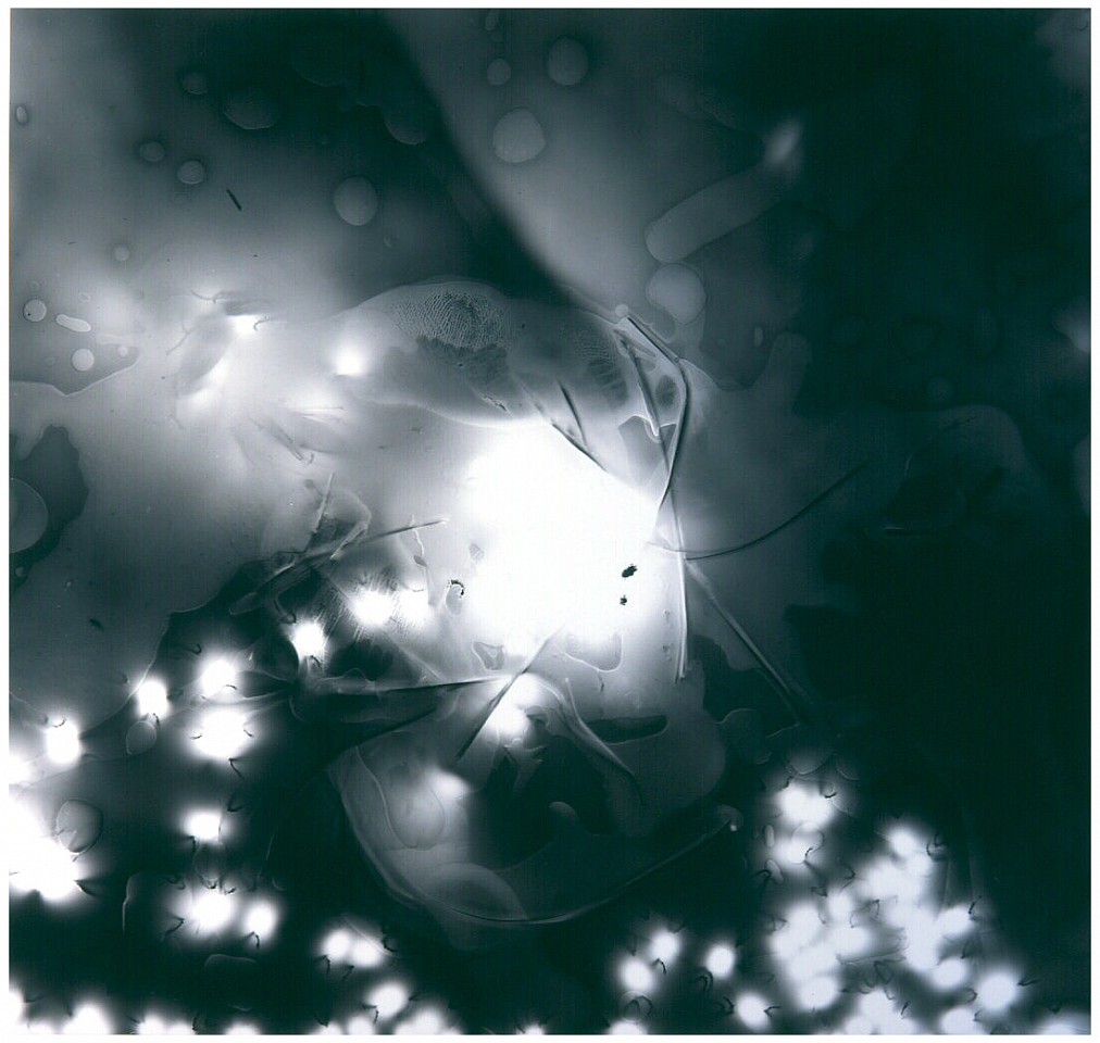MICHAEL FLOMEN, Night Talk/Visitor, 2001
gelatin silver print, 44 3/4 x 34 3/4 in. (113.7 x 88.3 cm)
UF # 4/4
MFC-0005