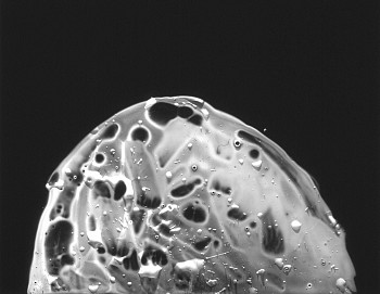 MICHAEL FLOMEN - Core, 2005