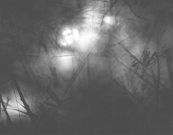 MICHAEL FLOMEN - Nuit Magique, 2002