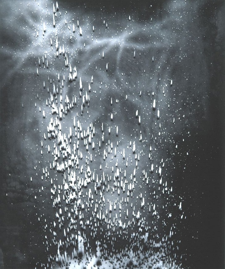 MICHAEL FLOMEN, Untitled #4, 2005
gelatin silver tone print, 24 x 20 in. (61 x 50.8 cm)
unqiue photogram
MFO-0048
