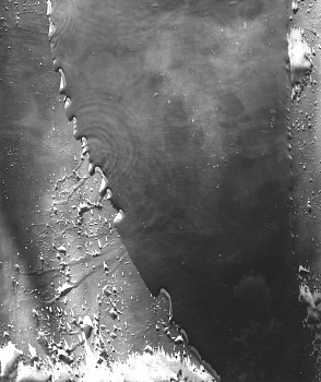 MICHAEL FLOMEN - Untitled # 5, 2005