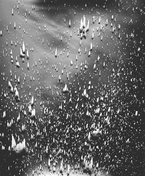 MICHAEL FLOMEN - Untitled # 8, 2005