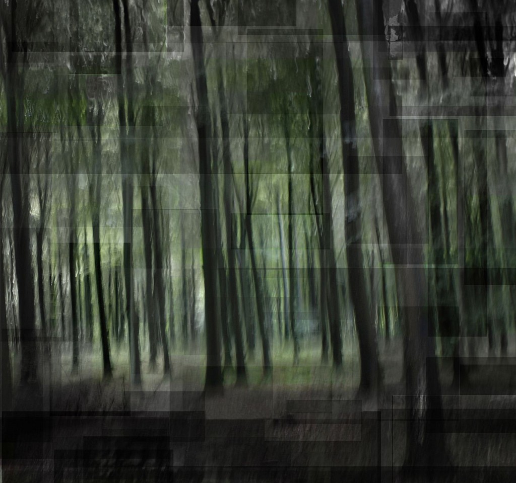 LUIS PAREDES, Another Green World, 2011
photo impression on canvas, 37 x 39 3/8 in. (94 x 100 cm)
ed: 2/5
LP-C-0005