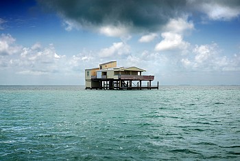 FABIANO PARISI - Il mondo che non vedo #90
Stillville Miami, FL, 2013