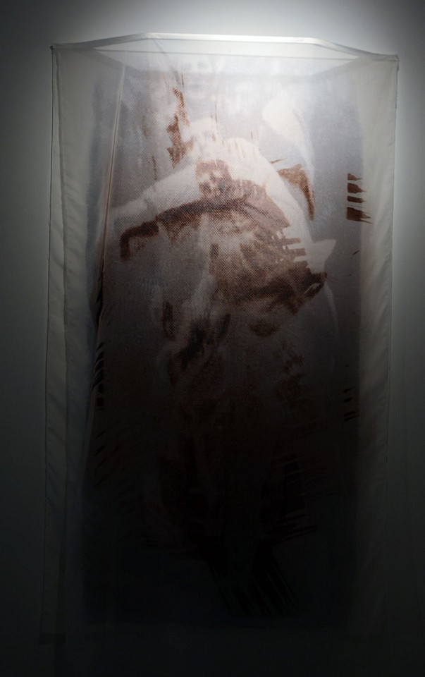 GRACIELA SACCO, De la Serie Furia- Adonde va la Furia? #5, 2016
photo impression on silk canvas, 78 x 43 x 10 in. (198.1 x 109.2 x 25.4 cm)
SG-C-0101