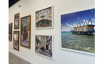 FOCUS - Photography show by Artists of the Gallery 