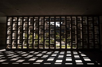 Work: LOLE ASIKIAN Yavrusu, 2020