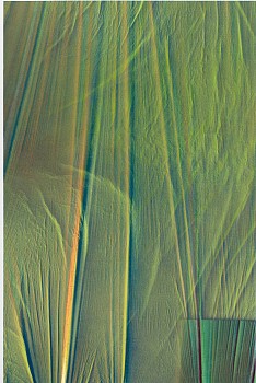 DANIEL VERBIS - Series Las Vestiduras, 2023