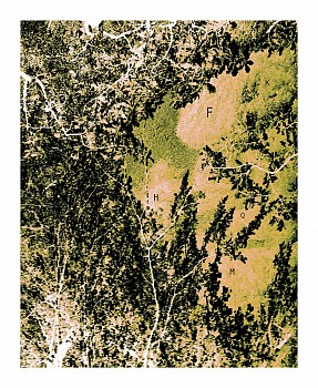 Work: Poem in code, 2022