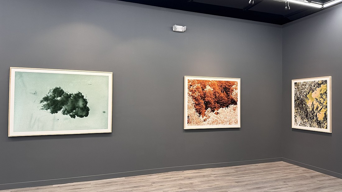 LUIS PAREDES - ARCHIVOS DEL ANTROPOCENO - Installation View