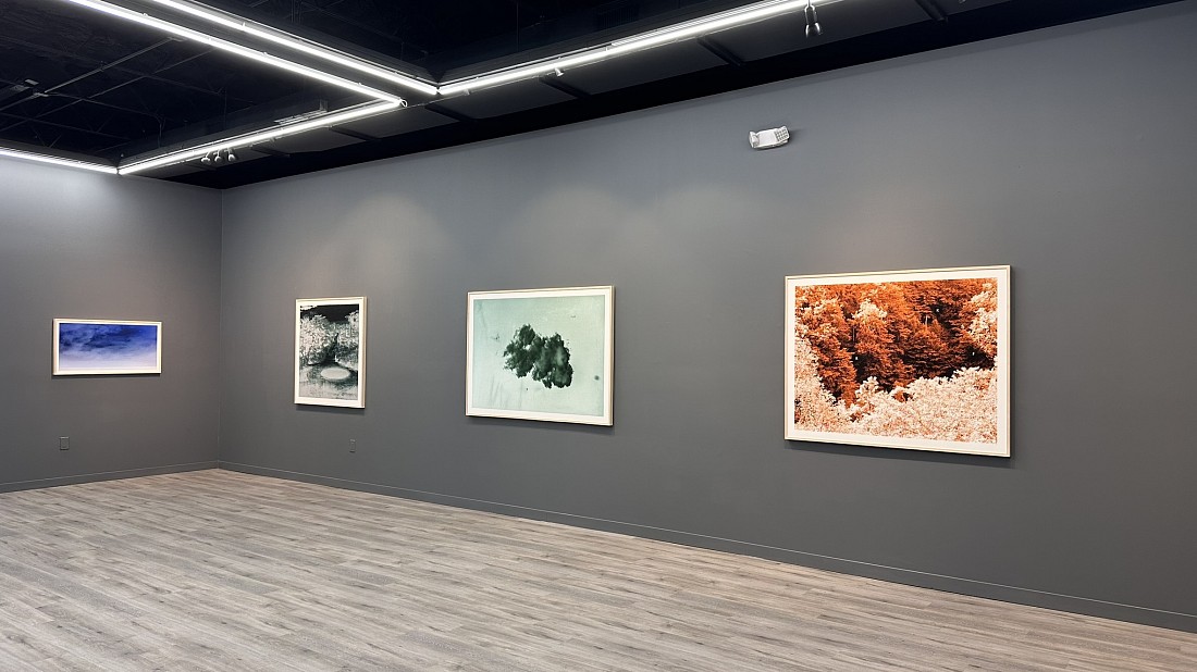 LUIS PAREDES - ARCHIVOS DEL ANTROPOCENO - Installation View