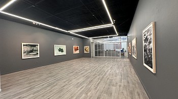 LUIS PAREDES - ARCHIVOS DEL ANTROPOCENO&nbsp;