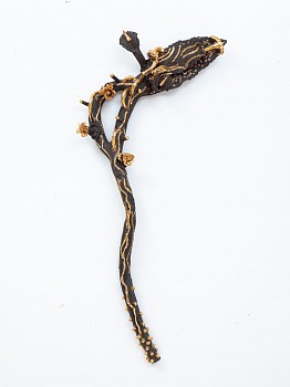 NICOLAS LEIVA - FLOWER, 2024