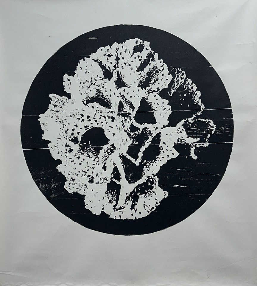 IBRAHIM MIRANDA, Coral I, 2015
xylography on canvas - ED: 1/3, 48 x 53 1/2 in. (122 x 136 cm)
MI--C0179