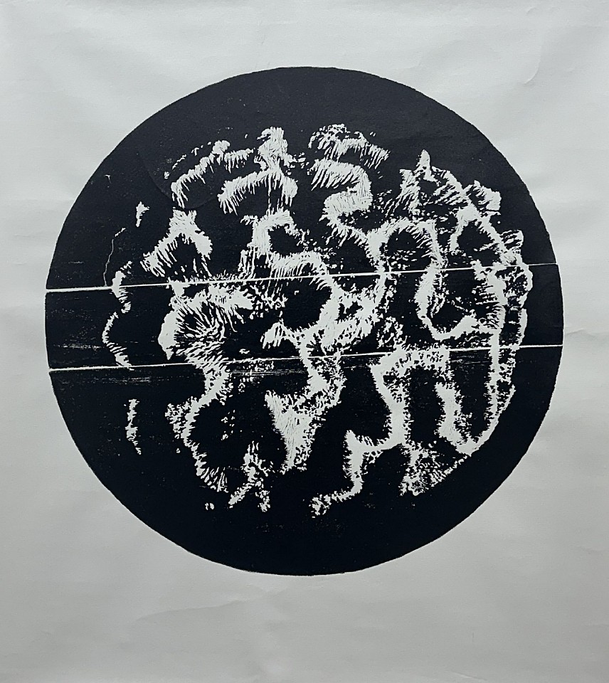 IBRAHIM MIRANDA, Coral II, 2015
xylography on canvas - ED: 1/3, 48 x 53 1/2 in. (122 x 136 cm)
MI--C0180